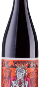 Chateau Cristi Politica Candidat