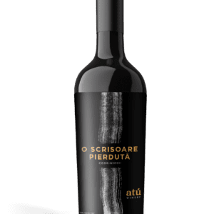 ATU Poets O Scrisoare Pierduta - Codrinschii 2020